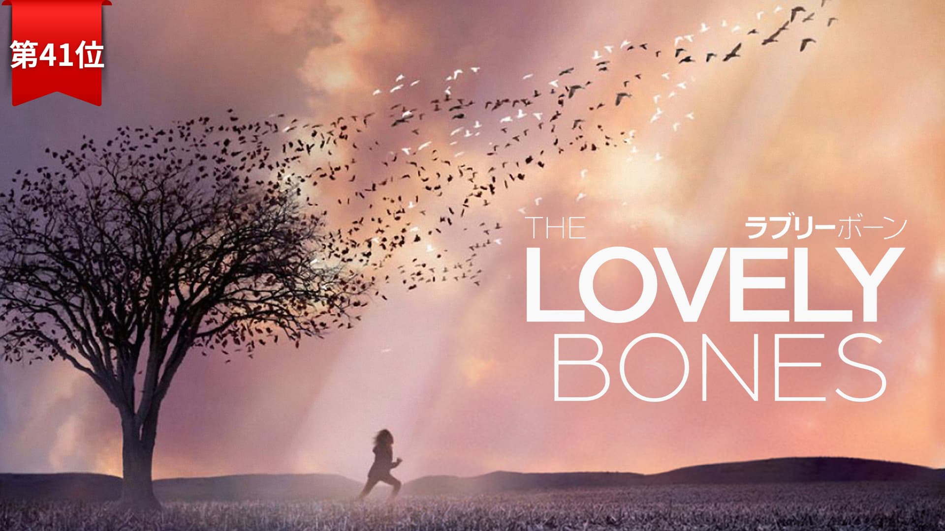 第41位『ラブリー・ボーン』