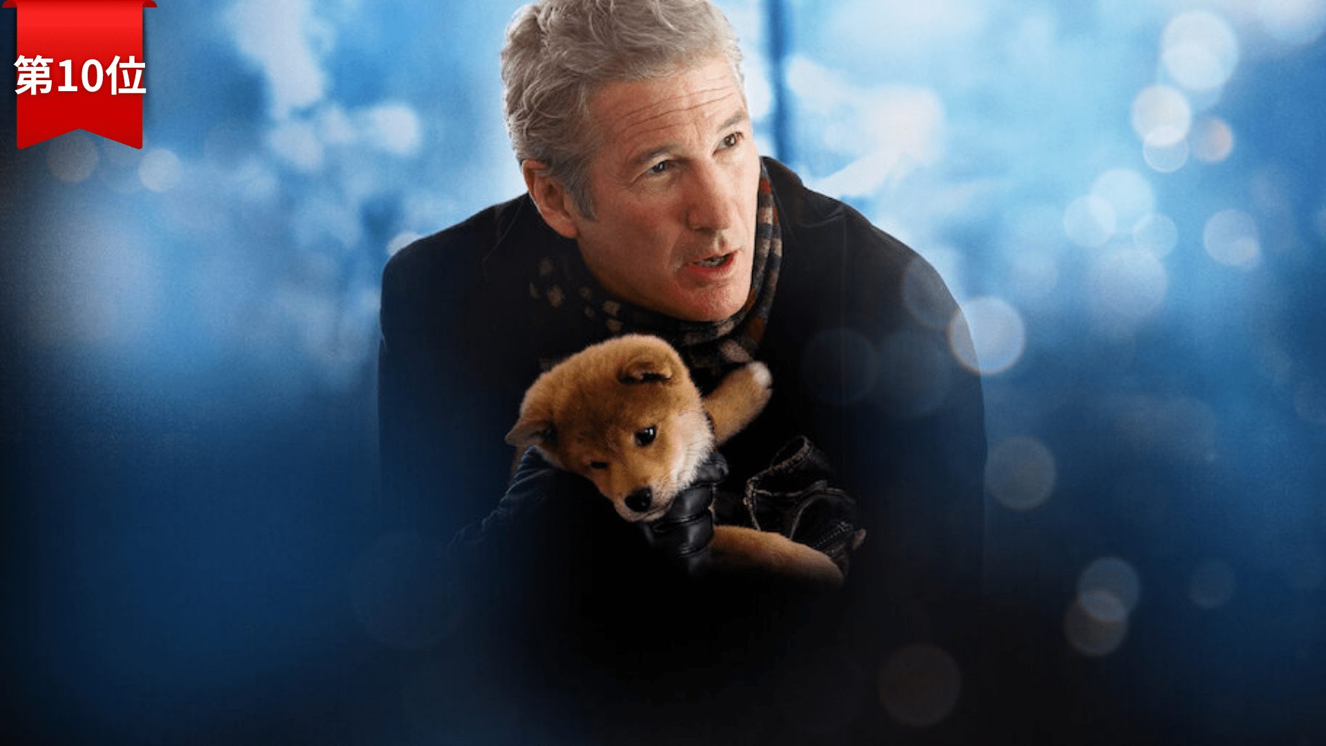 第10位『HACHI 約束の犬』